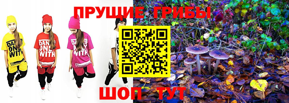 Героин Тара