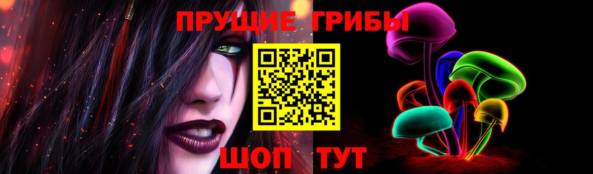 Псилоцибиновые грибы Cubensis Тара