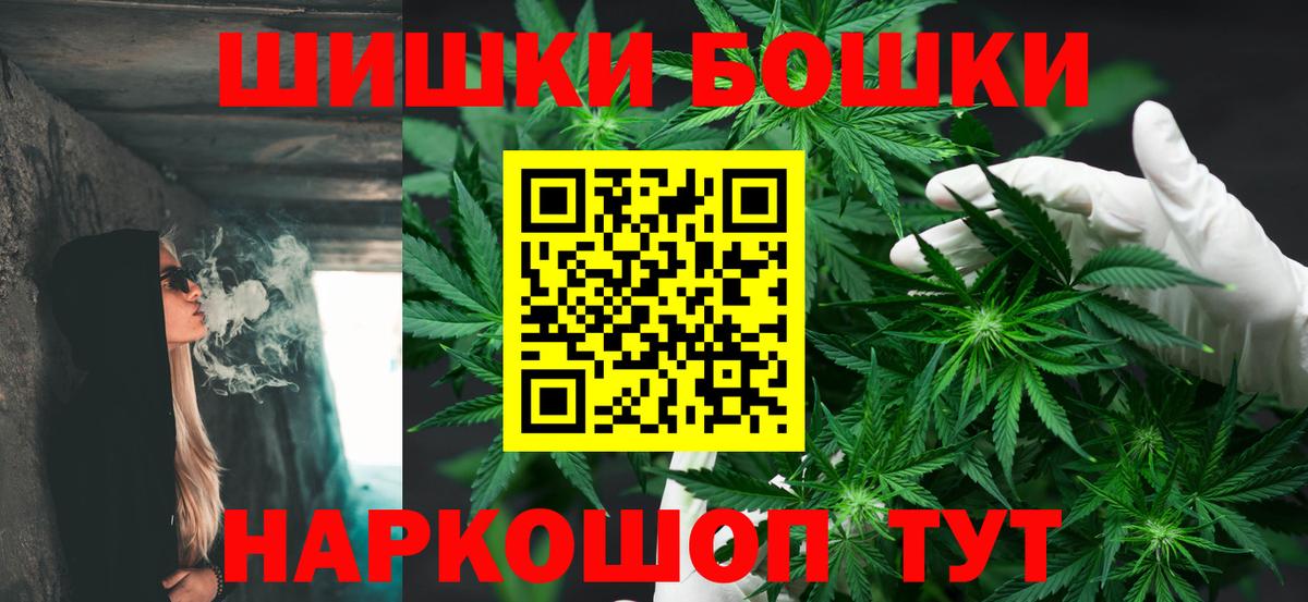 Бошки марихуана семена  Каннабис OG Kush  Каннабис индика  Тара  Вход с VPN 